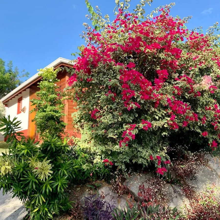 KALYPSO - Les Villas KIKKO Saint-Francois  Hébergement de vacances